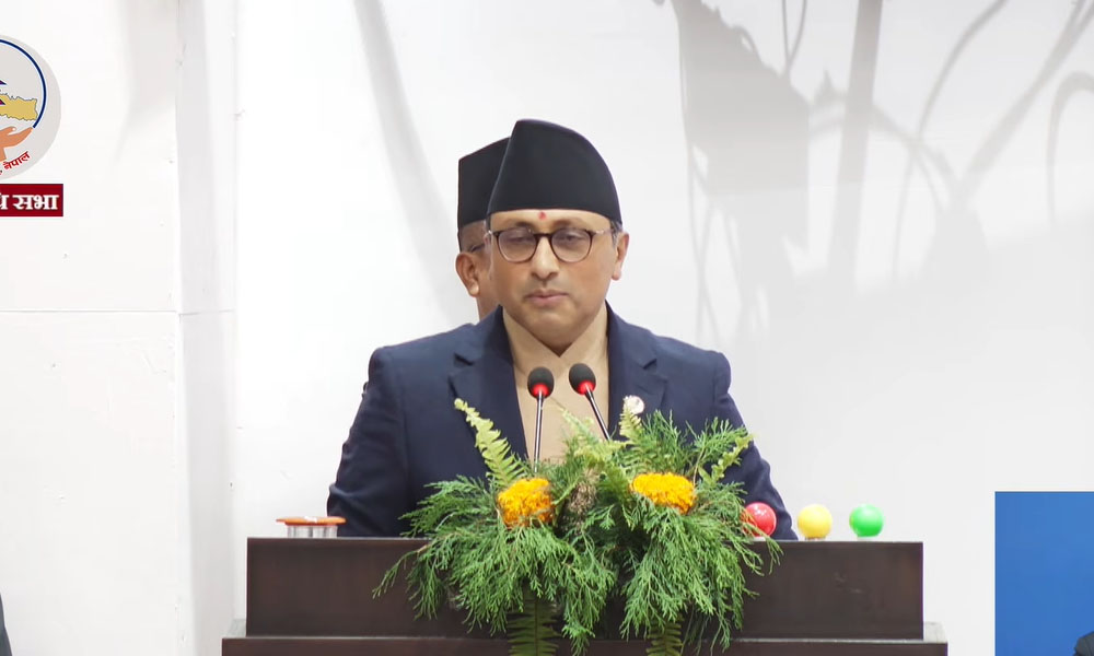 संसद्ले सरकार बनाउन र ढाल्न सक्छ, सार्वभौम अधिकार प्रतिनिधिसभासँग छ : अर्थमन्त्री वाग्ले